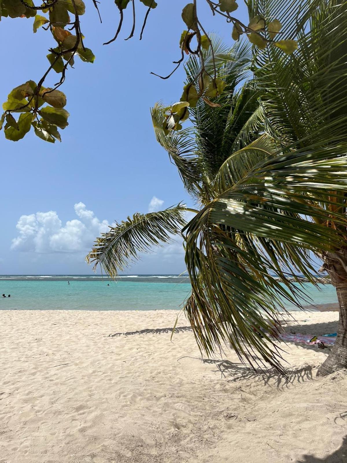 Studio Hibiscus Anse Des Rochers Saint Francois Exteriör bild